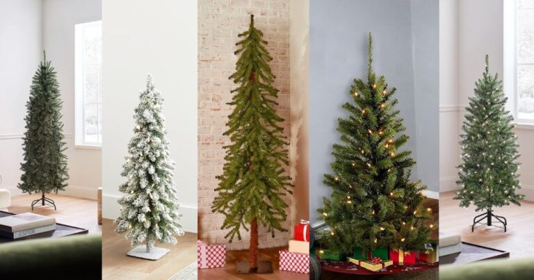 Top 5 Christmas Trees for Under $5