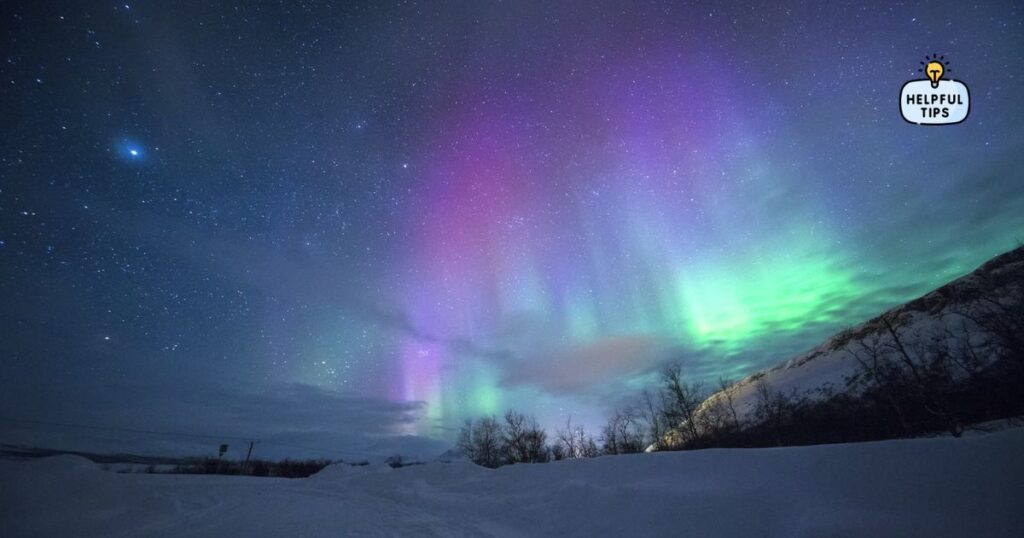 Chasing the Aurora Northern Lights Forecast and Best Viewing Tips